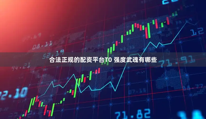合法正规的配资平台T0 强度武魂有哪些