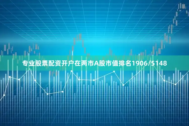 专业股票配资开户在两市A股市值排名1906/5148